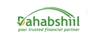 Dahabshiil Online Money Transfer